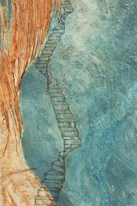 Hilde De Clerck - Art
